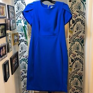 Blue Calvin Klein work dress
